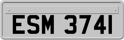 ESM3741
