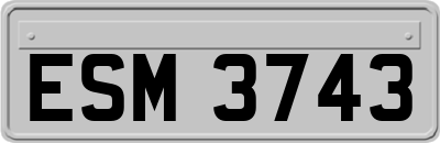 ESM3743