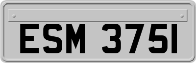 ESM3751