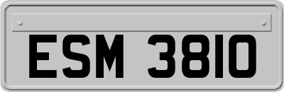 ESM3810