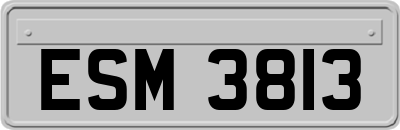 ESM3813