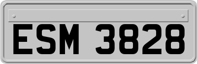 ESM3828
