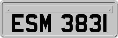 ESM3831