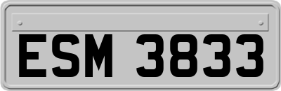 ESM3833