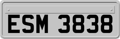 ESM3838