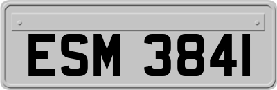 ESM3841