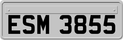 ESM3855