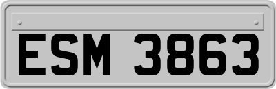 ESM3863