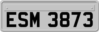 ESM3873