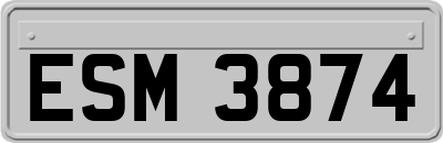 ESM3874