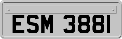 ESM3881