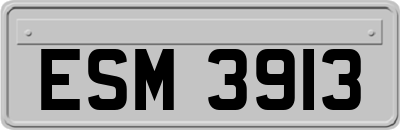 ESM3913