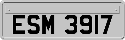 ESM3917