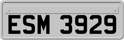 ESM3929