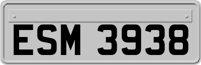 ESM3938