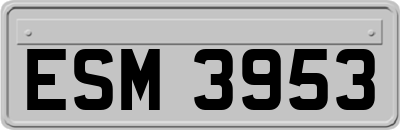 ESM3953