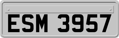 ESM3957