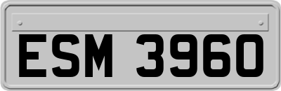 ESM3960