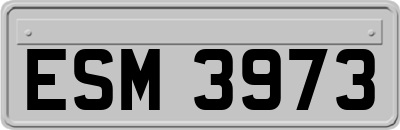 ESM3973