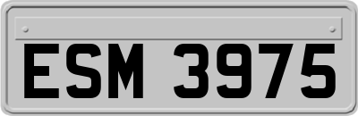 ESM3975