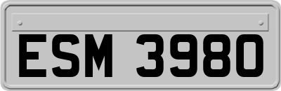 ESM3980