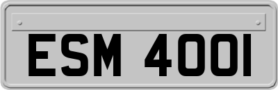 ESM4001