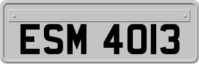 ESM4013