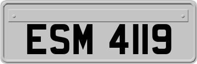 ESM4119