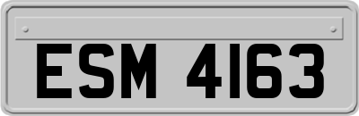 ESM4163