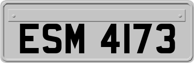 ESM4173