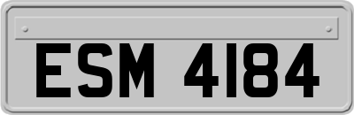ESM4184