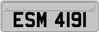 ESM4191