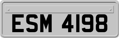 ESM4198
