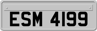 ESM4199