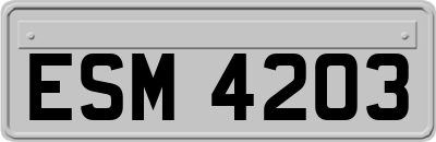 ESM4203