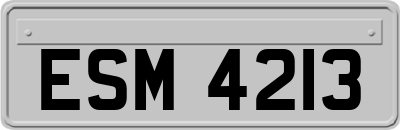 ESM4213