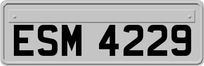 ESM4229