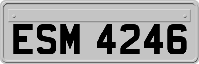 ESM4246