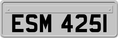 ESM4251