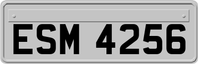 ESM4256