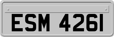 ESM4261