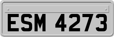 ESM4273