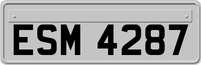 ESM4287