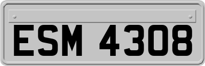 ESM4308