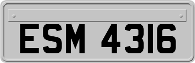 ESM4316