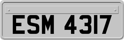 ESM4317