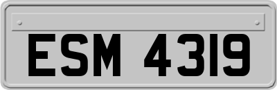 ESM4319