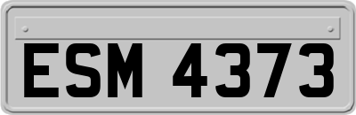 ESM4373
