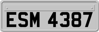 ESM4387