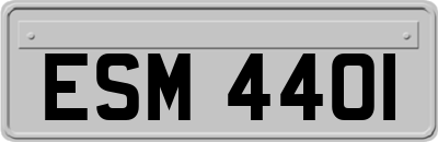 ESM4401